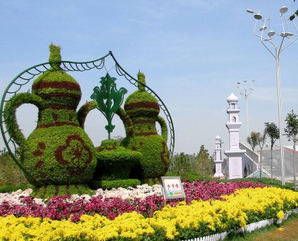 花卉租摆