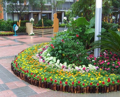 花卉租摆