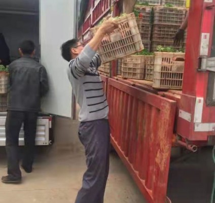 发货现场