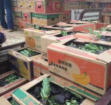 发货现场