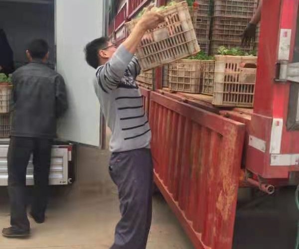 发货现场